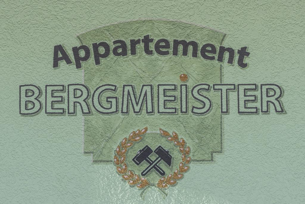 Appartement Bergmeister Rauris Exterior foto